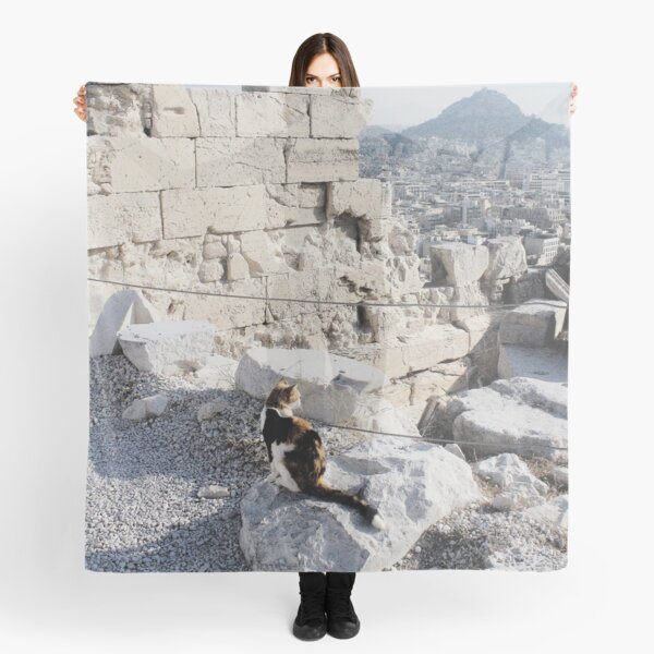 Stray cat checking out the archaeology of ancient Greece at the Acropolis Scarf