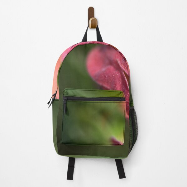 Item preview, Chinese Lantern In June designed and sold by Joy Watson - Natural Light Photography .
