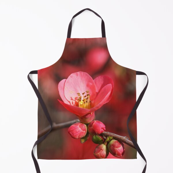 Item preview, Flowering Quince Spring Flora designed and sold by Joy Watson - Natural Light Photography .