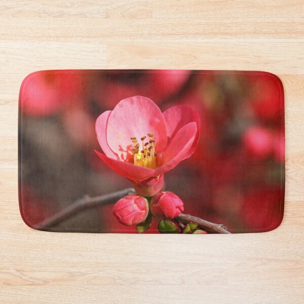 Item preview, Flowering Quince Spring Flora designed and sold by Joy Watson - Natural Light Photography .