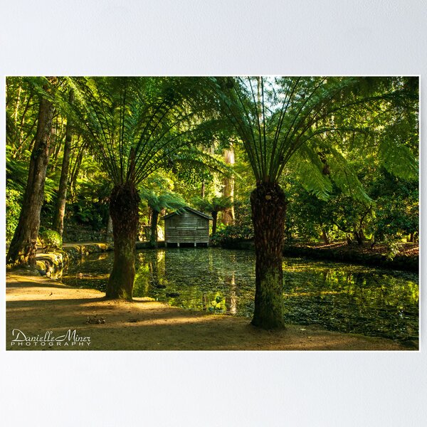Item preview, Alfred Nicholas Gardens 3 designed and sold by Danielle  Miner.