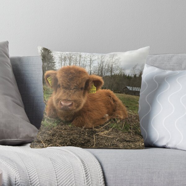 Highland Cattle Merch & Gifts for Sale