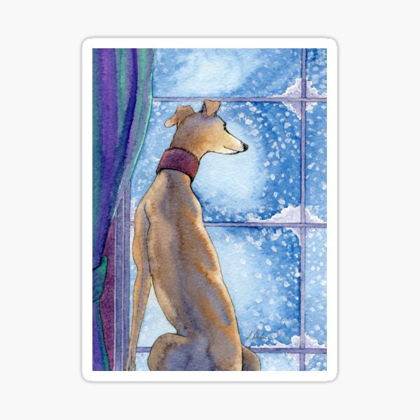 Greyhound dog sits in the warm watching the snow fall outside Sticker