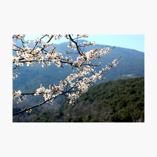 Item preview, spring designed and sold by mkokonoglou.