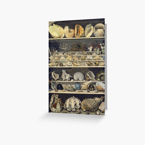 Item preview, Alexandre Isidore Leroy De Barde - Choix De Coquillages designed and sold by artcenter.