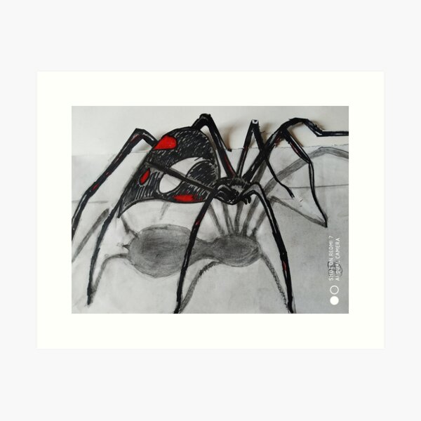 3D spider drawing  YouTube