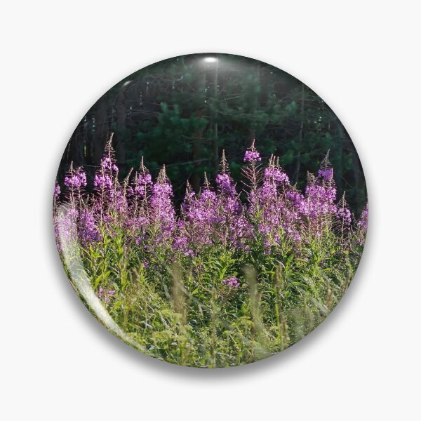 Artikelvorschau, große Weidenröschen und Rosebay Weidenröschen. Lila bis rosa Blüten der Weidenröschen-Wildblume. entworfen und verkauft von lena-maximova.