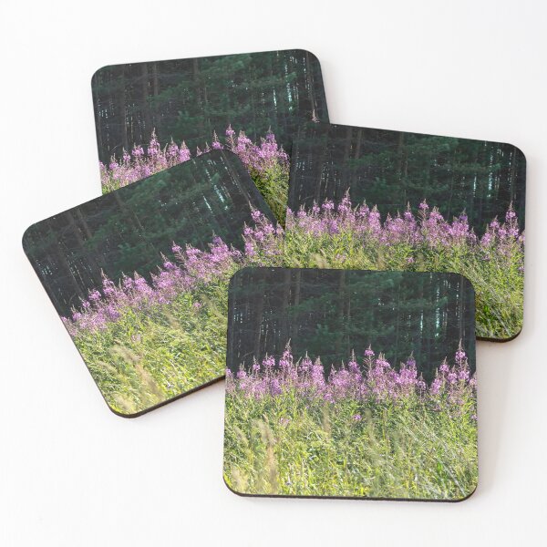 Item preview, Sunlit Chamaenerion angustifolium flowers against dark shadowed forest designed and sold by lena-maximova.