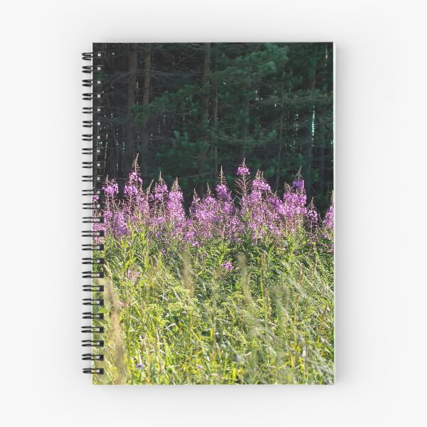 Item preview, Sunlit Chamaenerion angustifolium flowers against dark shadowed forest designed and sold by lena-maximova.