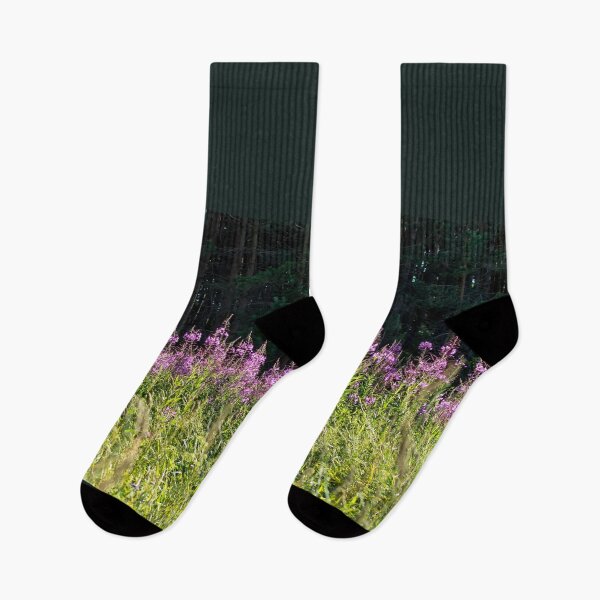 Item preview, Sunlit Chamaenerion angustifolium flowers against dark shadowed forest designed and sold by lena-maximova.