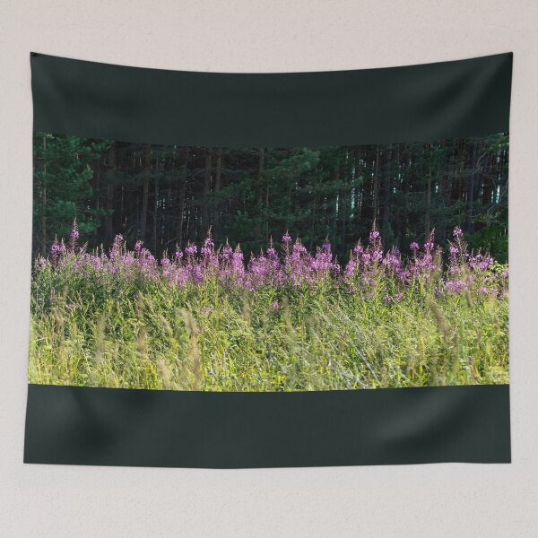 Item preview, Sunlit Chamaenerion angustifolium flowers against dark shadowed forest designed and sold by lena-maximova.