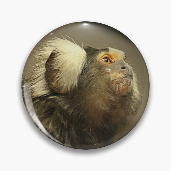 Item preview, Common Marmoset designed and sold by Ladymoose.