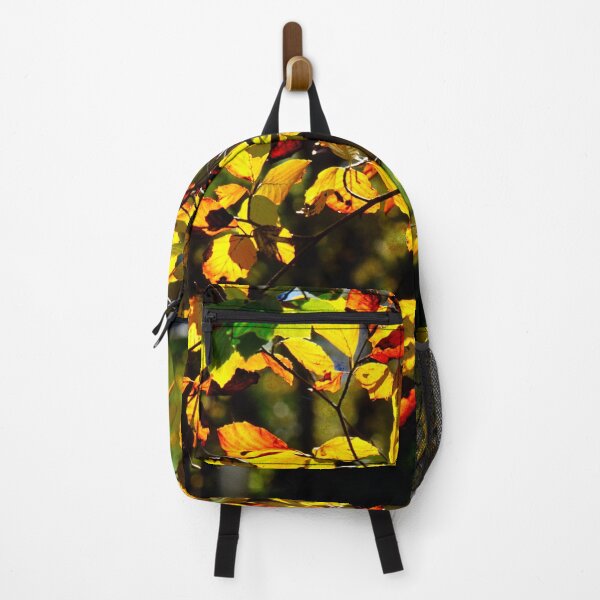 Item preview, Fall Leaves in Golden light, Backlit trees designed and sold by JonDelorme.