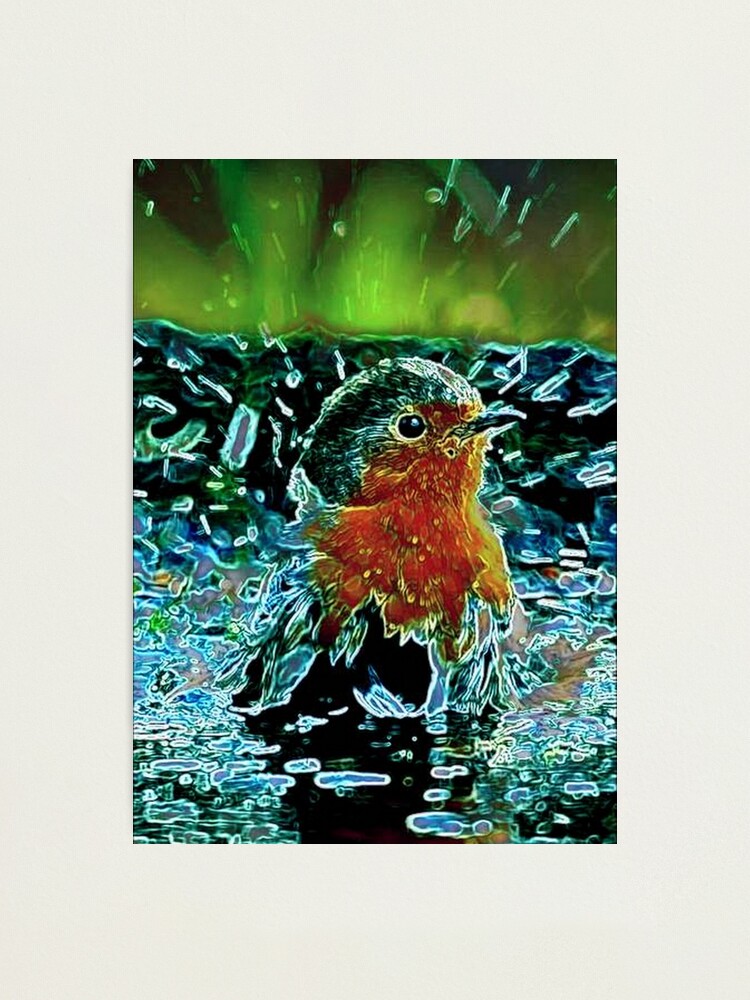 Alternate view of BIRD BATH Photographic Print