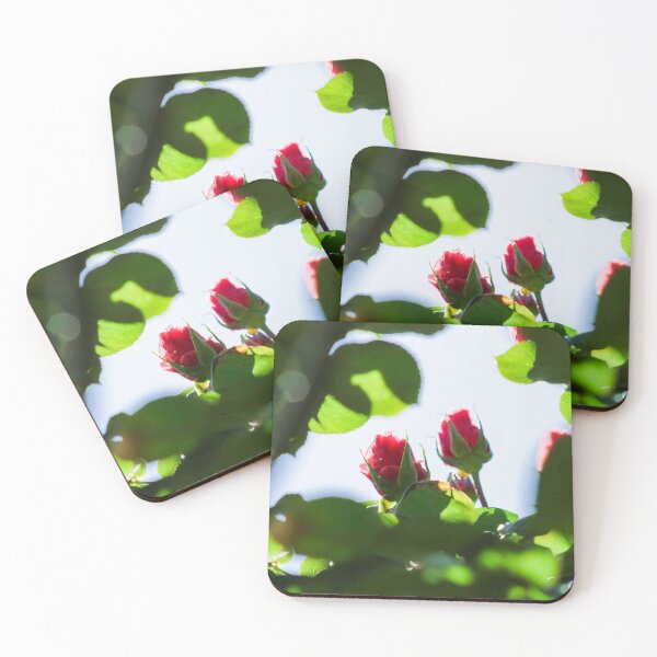 Item preview, Roses Photo designed and sold by sloewth.