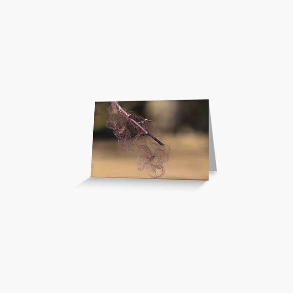 Spring Net Greeting Card