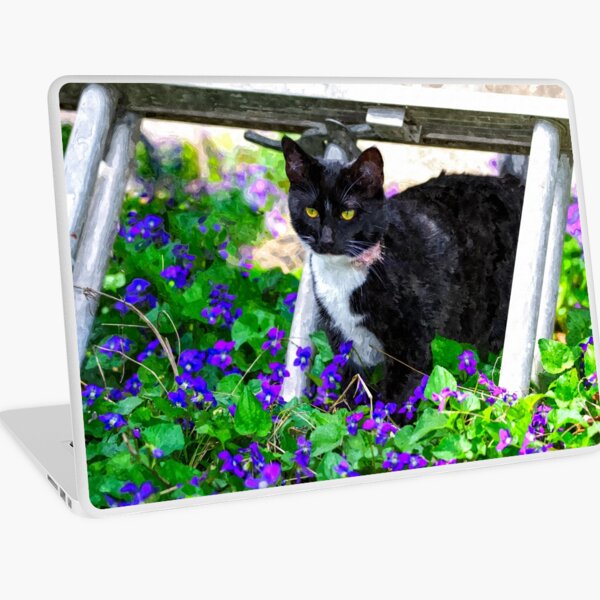 Artikel-Vorschau von Neugierige Kitty-Katze malerisch, designt und verkauft von mljdwhite.