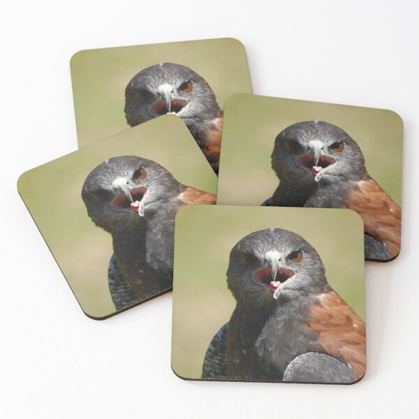 Item preview, Harris Hawk designed and sold by Declan Carr.