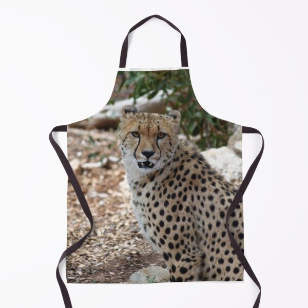 Item preview, Cheetah Monarto Zoo designed and sold by Linda Hammond.