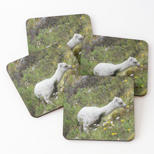 Item preview, Alpaca smelling Fowers in the Peruvian Andes designed and sold by Hearts of Growth .