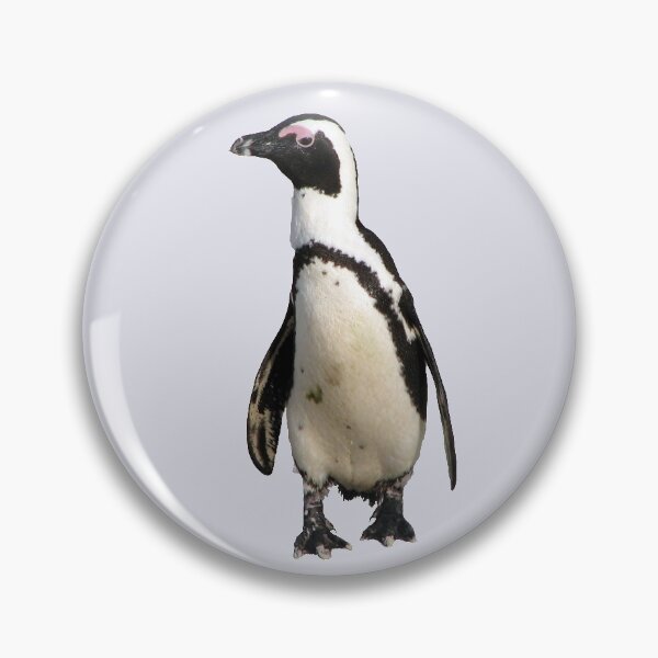 Item preview, African Penguin Boulders Beach, Cape Town, South Africa designed and sold by worldways.