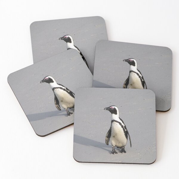 Item preview, African Penguin Boulders Beach, Cape Town, South Africa designed and sold by worldways.