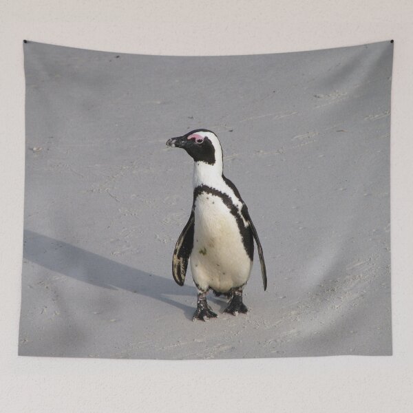 Item preview, African Penguin Boulders Beach, Cape Town, South Africa designed and sold by worldways.