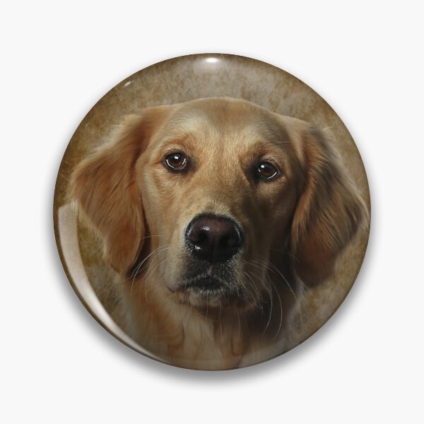 Item preview, Golden Retriever designed and sold by Carrie Southerton Dog Photography.