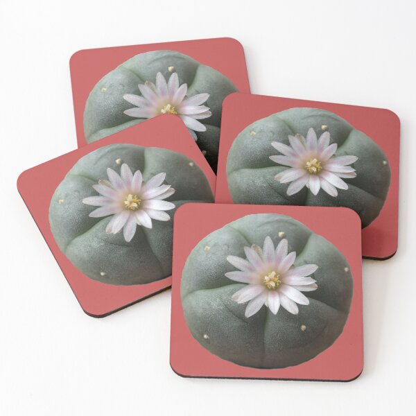 Item preview, Peyote Button - Psychedelic cactus plant designed and sold by Fruitsome.