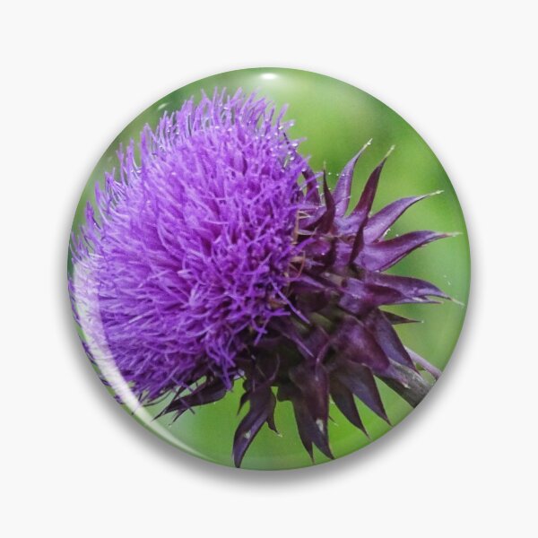 Item preview, MIlk Thistle designed and sold by brunoanjoloart.