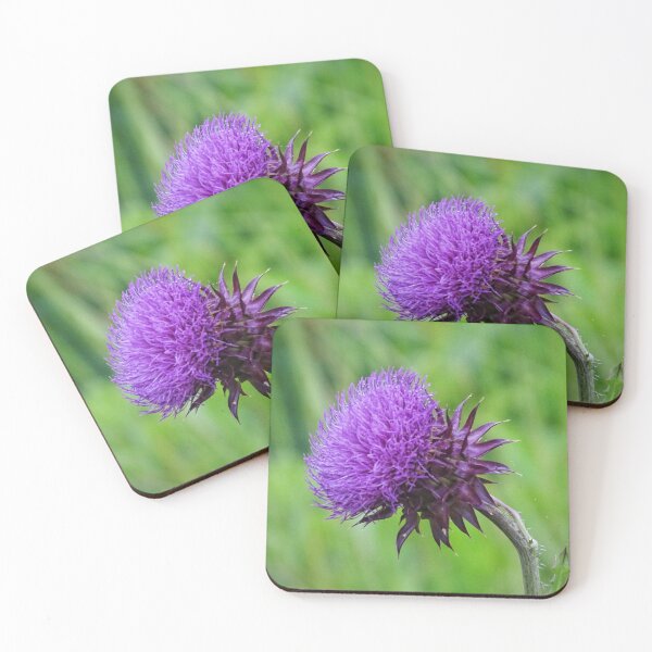 Item preview, MIlk Thistle designed and sold by brunoanjoloart.