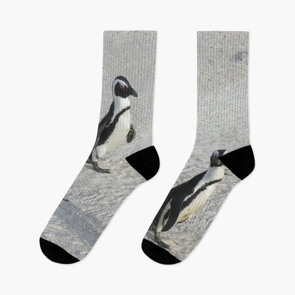 Item preview, African Penguins Boulders Beach, Cape Town, South Africa designed and sold by worldways.