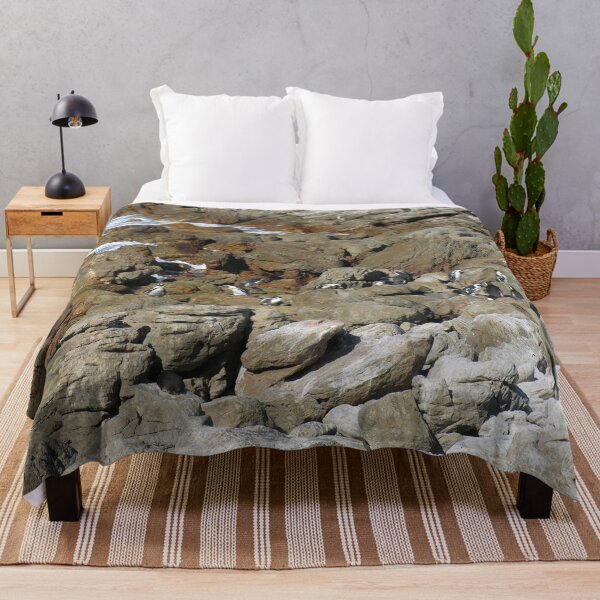 Item preview, Penguin Colony Boulders Beach, Cape Town, South Africa designed and sold by worldways.