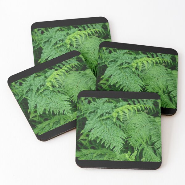 Item preview, Ostrich Fern designed and sold by PicsByTony.