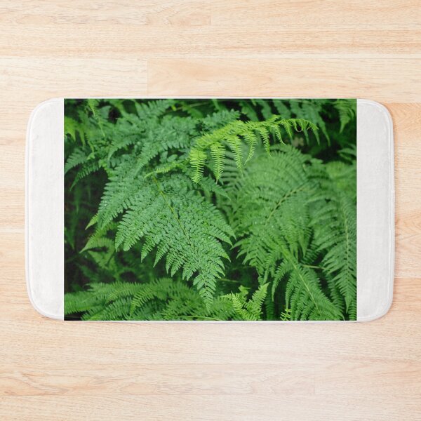 Item preview, Ostrich Fern designed and sold by PicsByTony.