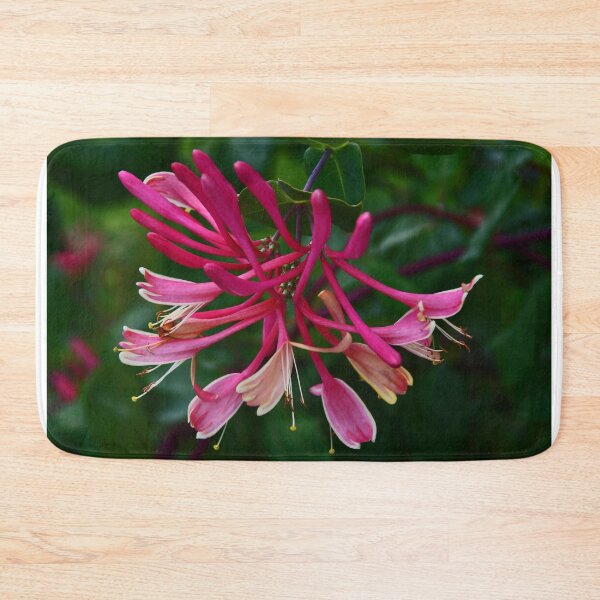 Item preview, Gold-flame honeysukle designed and sold by Poete100.