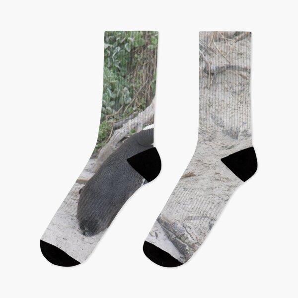 Item preview, Kissing Penguins Boulders Beach, Cape Town, South Africa designed and sold by worldways.