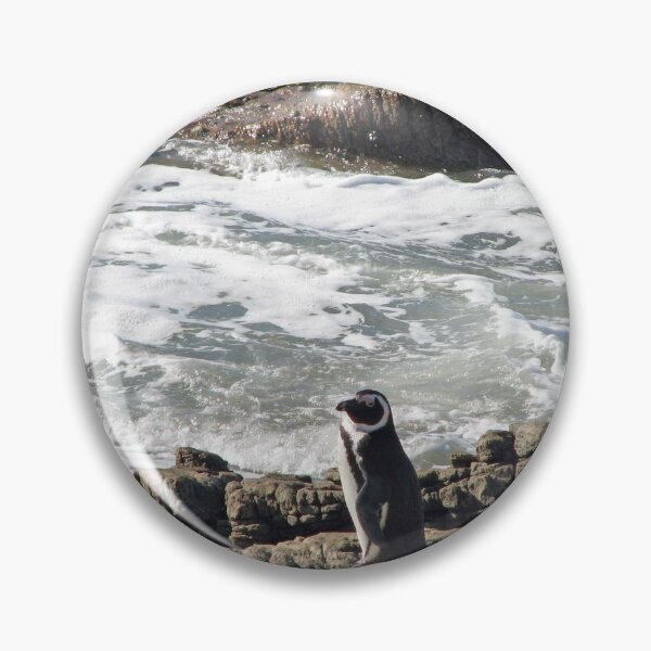 Item preview, African Penguin at Boulders Beach, Cape Town, South Africa designed and sold by worldways.