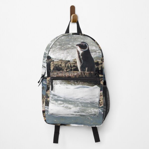 Item preview, African Penguin at Boulders Beach, Cape Town, South Africa designed and sold by worldways.
