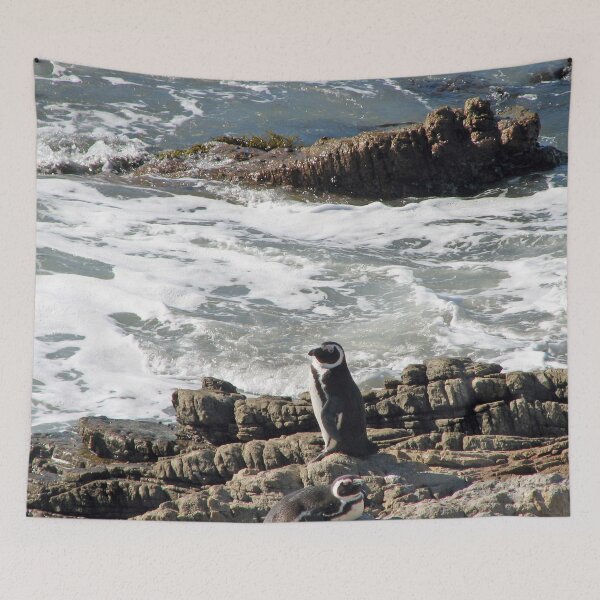 Item preview, African Penguin at Boulders Beach, Cape Town, South Africa designed and sold by worldways.