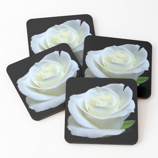 Item preview, White Rose Bloom designed and sold by floraluniverses.