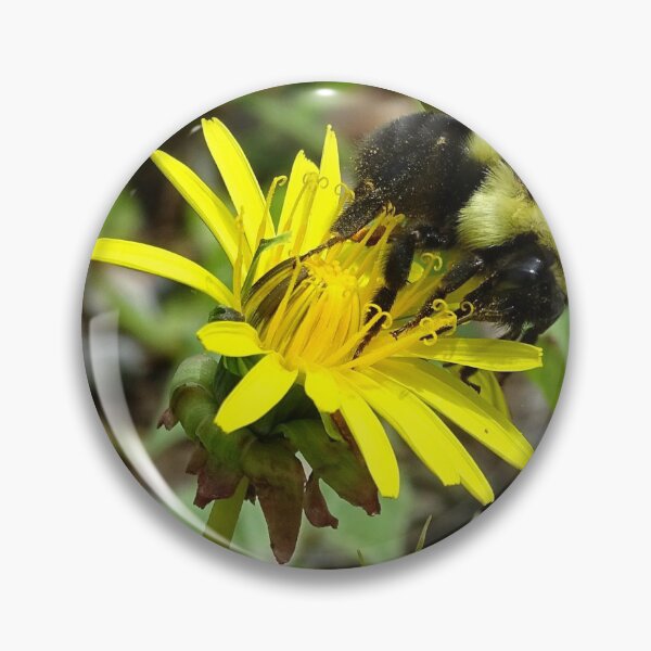 Item preview, Bumble Bee designed and sold by brunoanjoloart.