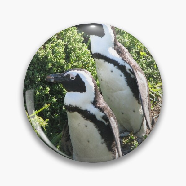 Item preview, Two African Penguins  Hiking Boulders Beach, Cape Town, South Africa designed and sold by worldways.