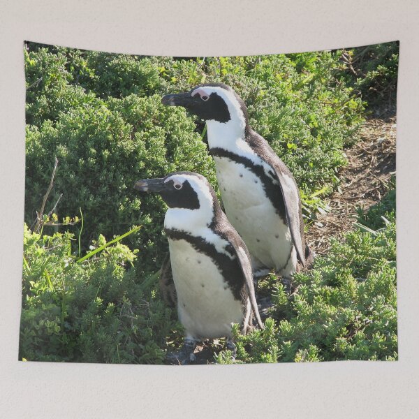 Item preview, Two African Penguins  Hiking Boulders Beach, Cape Town, South Africa designed and sold by worldways.