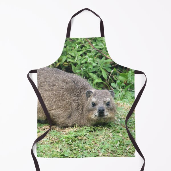 Item preview, Cute Dassie Rock Hyrax Table Mountain, South Africa designed and sold by worldways.