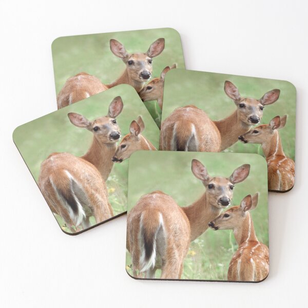 Item preview, White-tailed Deer Fawn Nuzzles Mother designed and sold by TheCurators.