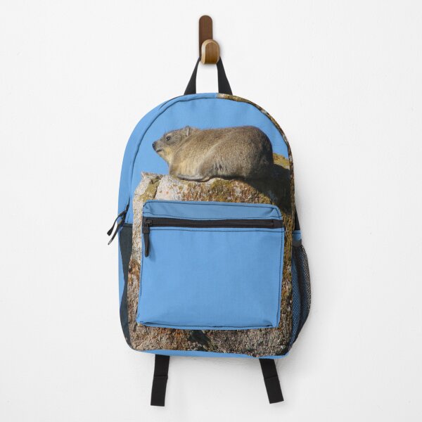 Item preview, Cute Dassie Sitting on Rock, Table Mountain, South Africa designed and sold by worldways.
