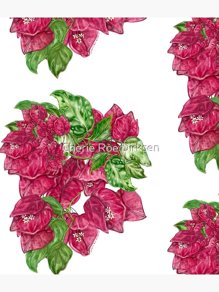 Bougainvillea Beauty by cheriedirksen