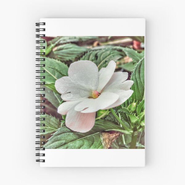 Item preview, White Flower designed and sold by brunoanjoloart.