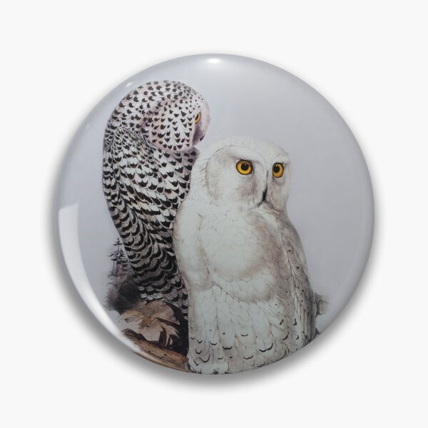 Item preview, Edward Lear - Snowy Owls designed and sold by TheCurators.